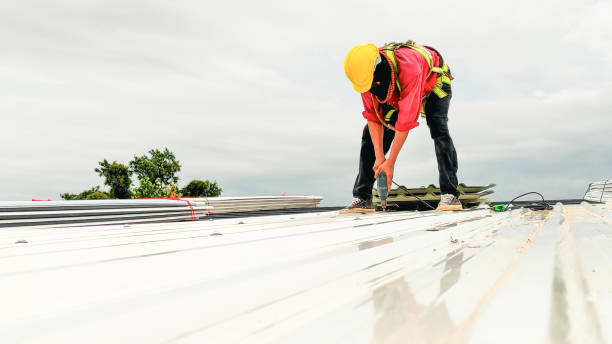Best Roofing for New Construction  in Belle Plaine, MN