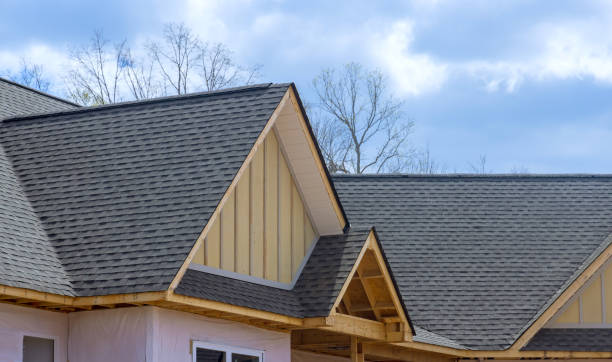Best Rubber Roofing (EPDM, TPO)  in Belle Plaine, MN