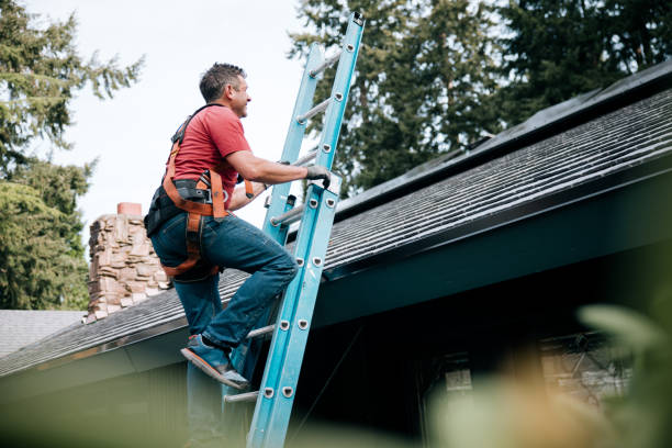 Best Roof Coating and Sealing  in Belle Plaine, MN