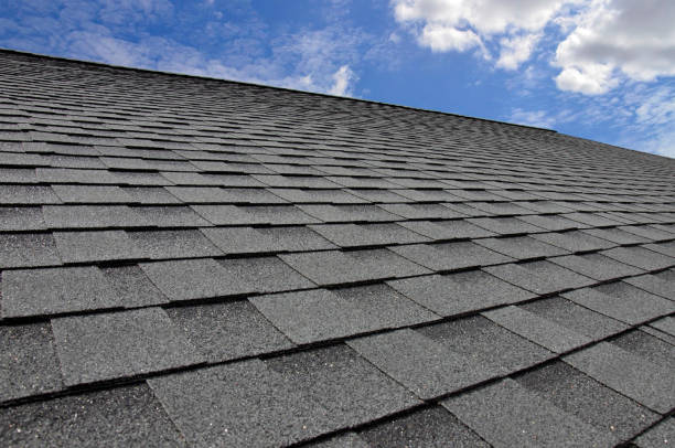 Best Roof Ventilation Installation  in Belle Plaine, MN