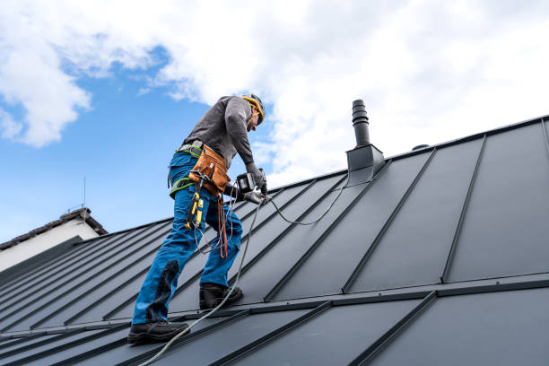 Best Chimney Flashing Repair  in Belle Plaine, MN