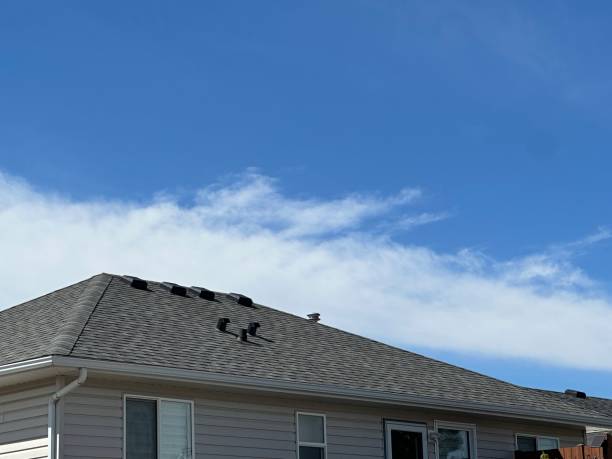 Best Green or Eco-Friendly Roofing Solutions  in Belle Plaine, MN